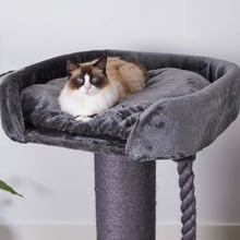 100cm Cat Scratching Post with Bed